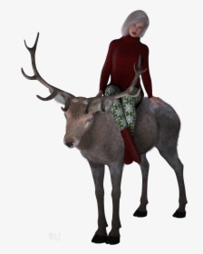 Elk, HD Png Download, Free Download