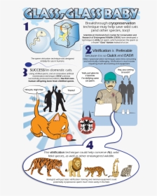 Cryopreservation Of Gametes Cartoon, HD Png Download, Free Download