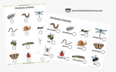 Minibeasts Checklist Cover, HD Png Download, Free Download