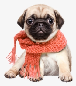Pug Shiba Inu Snoopy Puppy Cat - Cute Dog Png, Transparent Png, Free Download