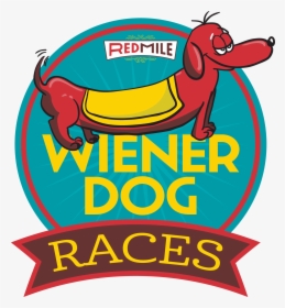 Wiener Dog Racing Cartoon, HD Png Download, Free Download