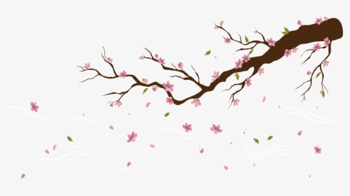 Transparent Sakura Flower Clipart - Falling Cherry Blossom Transparent Background, HD Png Download, Free Download