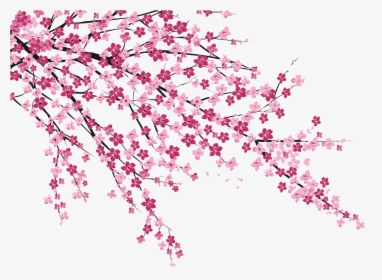 Cherry Blossom Sakura No Hanabiratachi Wall Painting - Sakura Cherry Blossom Png, Transparent Png, Free Download
