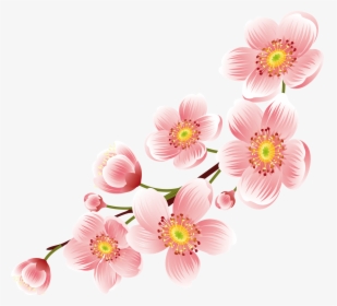 Transparent Cherry Blossom Png - Png Transparent Background Flowers Png, Png Download, Free Download