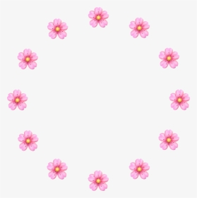 #vector #png #cherryblossoms #cherry #pink #flower, Transparent Png, Free Download