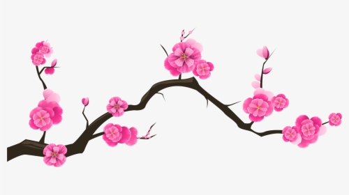 Cherry Blossom Branch Stock Huge Freebie Download, HD Png Download, Free Download