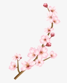 Blossom - Cherry Blossoms Transparent Background, HD Png Download, Free Download