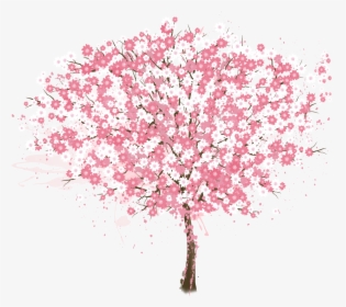 Cherry Blossom Tree - Cherry Blossom Tree Vector Png, Transparent Png, Free Download