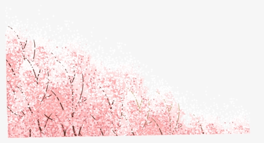 Transparent Japanese Cherry Blossom Clipart - Cherry Blossom Wallpaper Pink, HD Png Download, Free Download