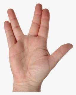 #ftestickers #hand #palm - 4 Finger Peace Sign, HD Png Download, Free Download