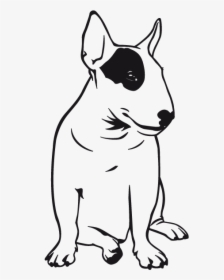English Bull Terrier Sitting Line Drawing, HD Png Download, Free Download