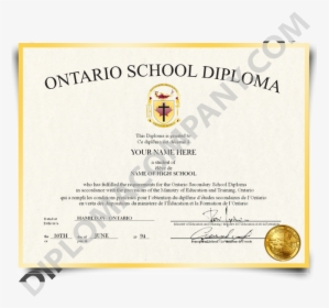 Fake High School Diploma Canada - Canadian High School Diploma, HD Png Download, Free Download