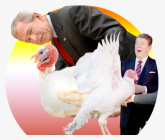 Transparent George W Bush Png - George W Bush Turkey, Png Download, Free Download