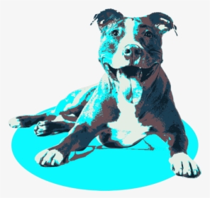 Transparent Background Dog Png, Png Download, Free Download