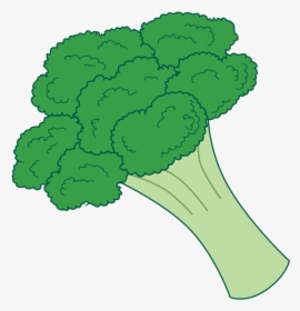 Pin By Courtney Patterson - Transparent Background Broccoli Clipart, HD Png Download, Free Download