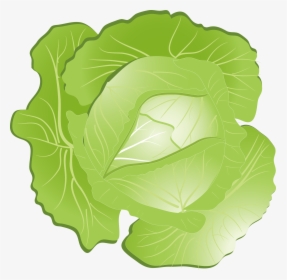 Red Cabbage Kohlrabi Clip Art - Cabbage Clipart Png, Transparent Png, Free Download