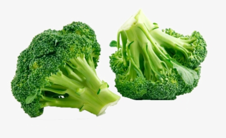 Green Broccoli Png Transparent Image - Example Of Bitter, Png Download, Free Download