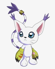 Digimon Gatomon , Png Download - Digimon Gatomon, Transparent Png, Free Download