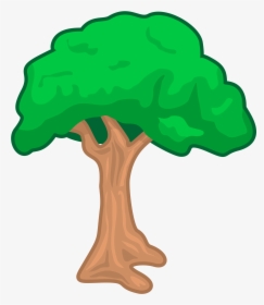 Big Tree To Trace , Transparent Cartoons - Things That Color Green, HD Png Download, Free Download