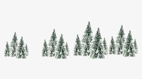 Winter Snow Spruce Tree - Tree, HD Png Download, Free Download