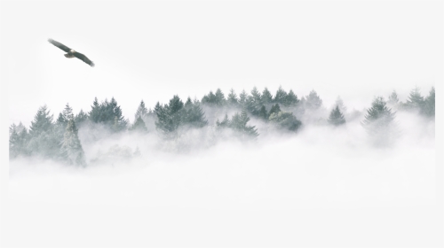Transparent Forest Png - Transparent Winter Snow Forest Png, Png Download, Free Download
