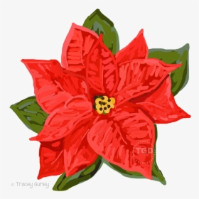 Poinsettia Png Download Image - Poinsettia, Transparent Png, Free Download