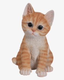 Kittens Transparent Ginger - Cute Cats In Png, Png Download, Free Download