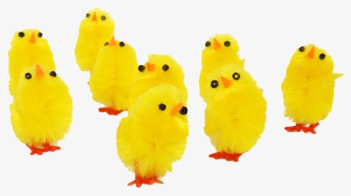 Free Funny Easter Chicks Png Image - Baby Chicks Happy Birthday, Transparent Png, Free Download