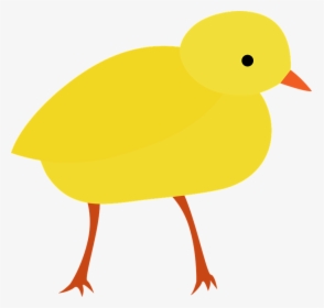 Chick, Chicken, Easter, Bird, Nature, Animal, Cute, HD Png Download, Free Download
