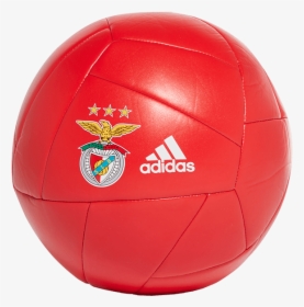 Bola De Futebol Do Benfica, HD Png Download, Free Download