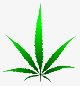 Marijuana Leaf Drawing - Cannabis Oil Vector Icon, HD Png Download, Free Download