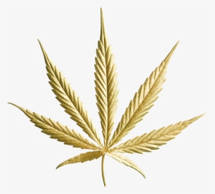 Gold Cannabis Leaf Png , Png Download - Gold Pot Leaf Png, Transparent Png, Free Download