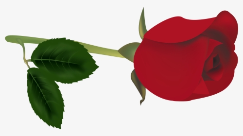Red Rose Bud Png Clipart - Rose Bud Png, Transparent Png, Free Download