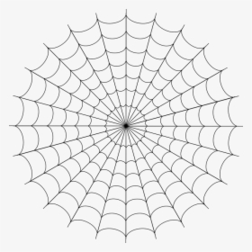 Spider Web, Cobweb, Spider, Web, Creepy, Halloween - White Spider Man Web, HD Png Download, Free Download