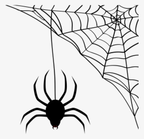 Spider, Web, Cobweb, Halloween, Silhouette, Black - Teias De Aranha Halloween, HD Png Download, Free Download