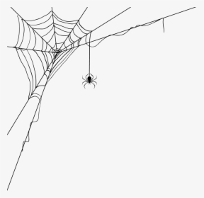 Transparent Spiderwebs Png - Transparent Background Spider Web Png, Png Download, Free Download