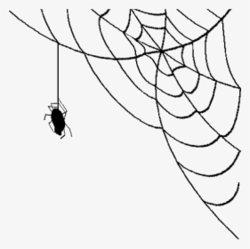 Spider Web Png Bear - Transparent Background Spider Web Png, Png Download, Free Download