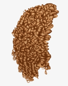 Curls Drawing Curly Hair - Curly Hair Transparent Background, HD Png Download, Free Download