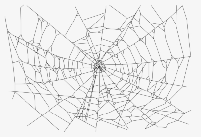 Black Spider Web Png Pnglogo Com - Spider Web Transparent Background, Png Download, Free Download