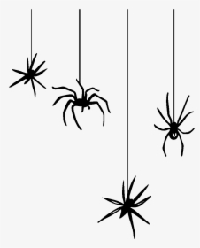 Web Halloween Clip Art - Spider Web Clipart Transparent Background, HD Png Download, Free Download