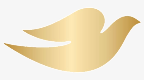 Dove PNG Images, Free Transparent Dove Download , Page 2 - KindPNG