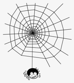 Maths In Spider Webs, HD Png Download, Free Download