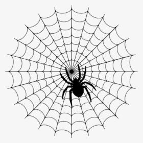 Spider, Web, Silhouette, Halloween, Spiderweb, Cobweb - Charlottes Web Spider Web, HD Png Download, Free Download