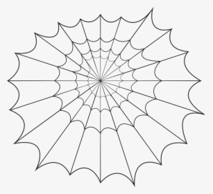Spider Web Halloween Free Picture - Line Art, HD Png Download, Free Download
