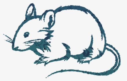 Transparent Rat Clipart - Rat Black And White, HD Png Download, Free Download
