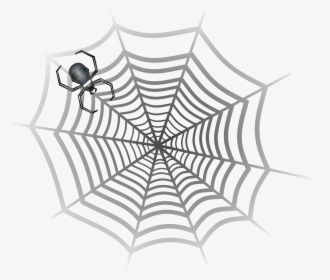 Clipart Spider Web - Karakalem Örümcek Ağı Çizimi, HD Png Download, Free Download