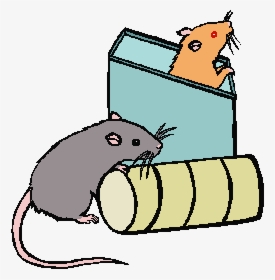 Cartoon Picture Of A Rat Free Download Clip Art - Rat In The Box Clipart, HD Png Download, Free Download