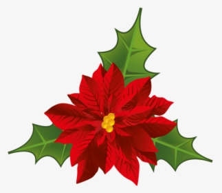 Poinsettia Flower Christmas Clip Art - Christmas Flower Png, Transparent Png, Free Download