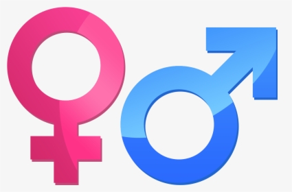 Male Female Symbol Png , Png Download - Male And Female Symbol Png, Transparent Png, Free Download