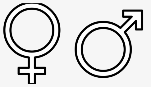 News Article Image - Male Female Symbols Png, Transparent Png, Free Download